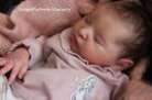 Beautiful Reborn Baby Doll ~ Laura ~ Sam's Reborn Nursery