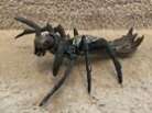 King Kong Skull Island Action Figure Arachno Claw Spider