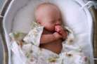 Precious Wonders Alexa Calvo - Reborn Baby girl PROTOTYPE Mary by Bountiful Baby
