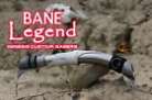 GCS Bane Legend #16